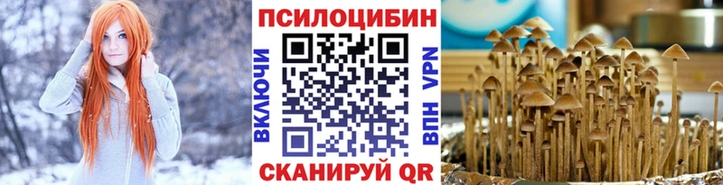 Галлюциногенные грибы Magic Shrooms  Нязепетровск 